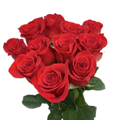 Букет 11 красных роз