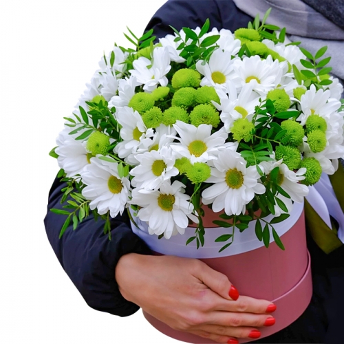 Белые хризантемы в шляпной коробке