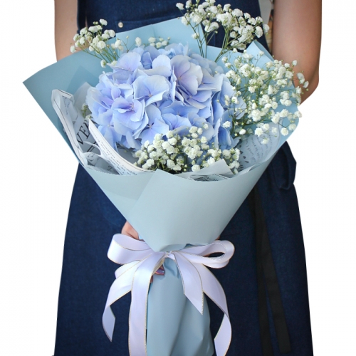 Букет 1 голубая гортензия
