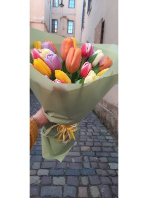 Україна, Львів