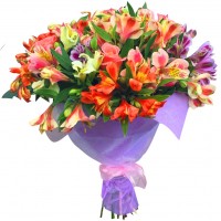 Букет из 15 альстромерий "Летнее настроение" Букет из 15 альстромерий "Летнее настроение"