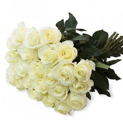 Букет из 25 белых роз, 60см "Любимой девушке"