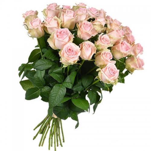 Букет из 25 розовых роз, 60см "Розовое небо"