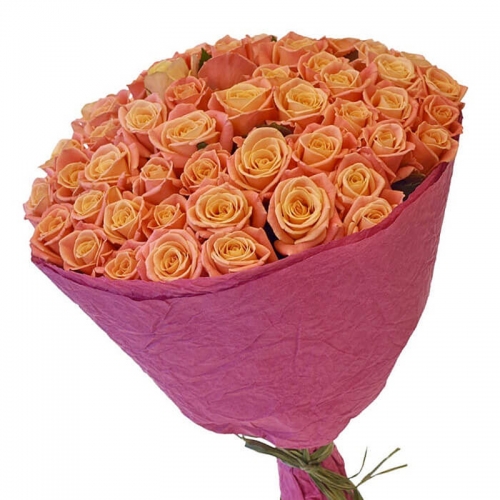 Букет из 51 оранжевой розы Мисс Пигги 60см
